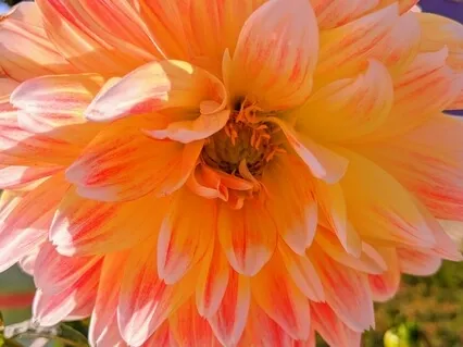 Vibrational Meditation With Sound