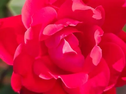 Vibrations Of Love And Stability