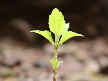 Vida │ Life │ Be With Yourself In Silence