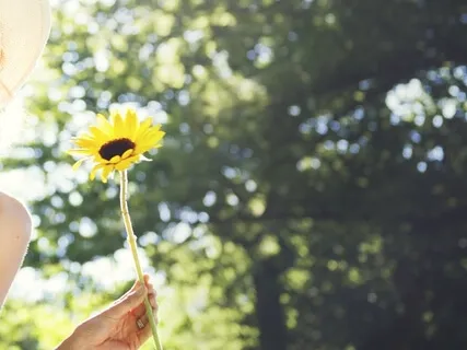 Bидение потенциального Cчастья