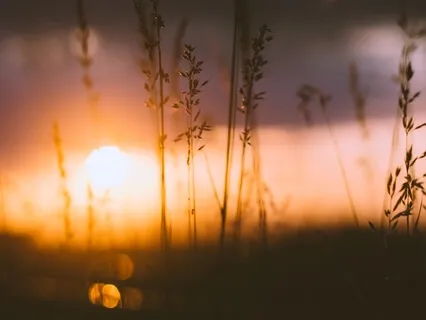 Вечерняя Медитация Перед Сном