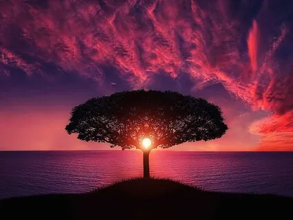 Вечерняя Медитация