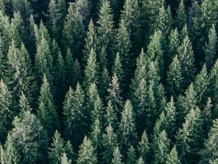 Вечерняя Расслабляющая Медитация