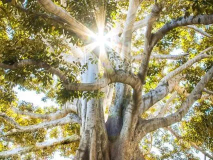 Breathing Meditation Breathing Meditation