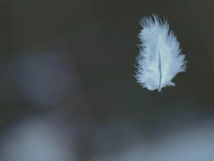 Stress Relief Stress Relief