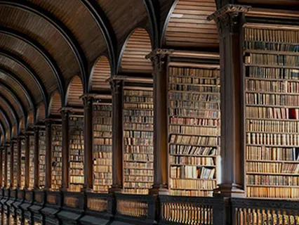 Vijnamaya Kosha/Wisdom Layer