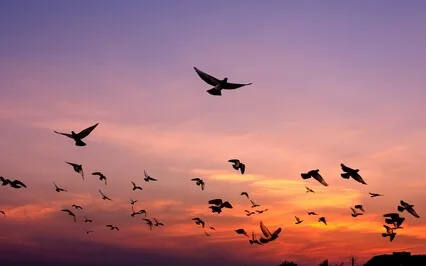 Viking Upbeat & Deep Sleep Music, Abundance And Prosperity