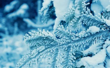 Viloma Breath Practice