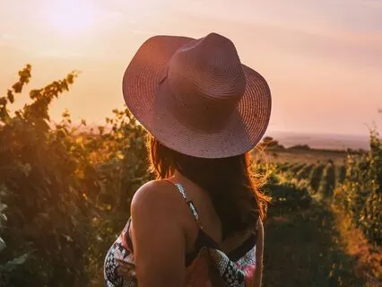 Vineyard By The Sea: Sleep Story For The Soul