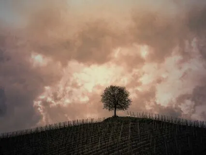 Brown Noise | The Brown Noise Collection