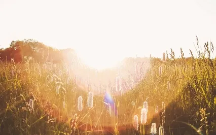 Violet Flame Meditation