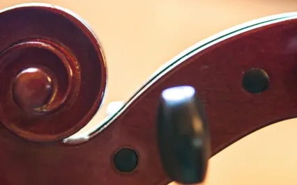 Violin & Shruti Box Music (Long Version)