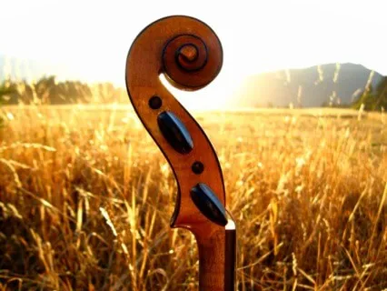 Violin & Shruti Box Music (Short Version)