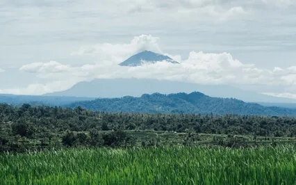 Vipassana Meditation