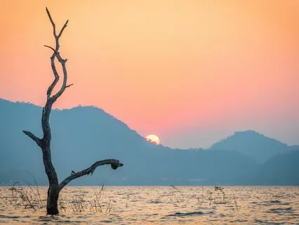 Vipassana Meditation For Beginners - Insight Practice