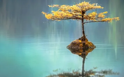 Vipassana Meditation For Beginners Day 1