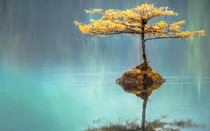 Vipassana Meditation For Beginners Day 2