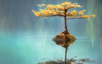 Vipassana Meditation For Beginners Day 3