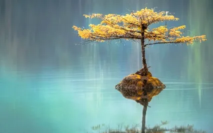 Vipassana Meditation For Beginners Day 4