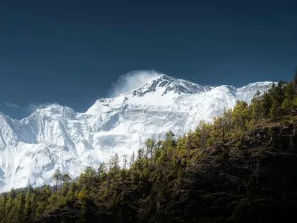 Concentration Concentration Meditation (Anapana)