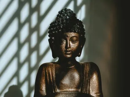 Vipassana - The Chosen Path