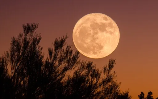 Virgo Full Moon - March 2022