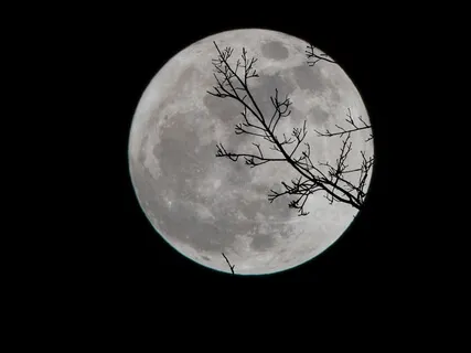 Virgo Full Moon Meditation - March 2023