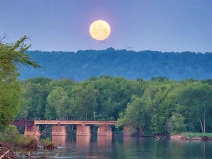 Virgo Full Moon Meditation | Worm Moon