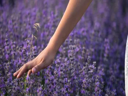 Virgo Lightbody Ritual | The Earth Heals Through You