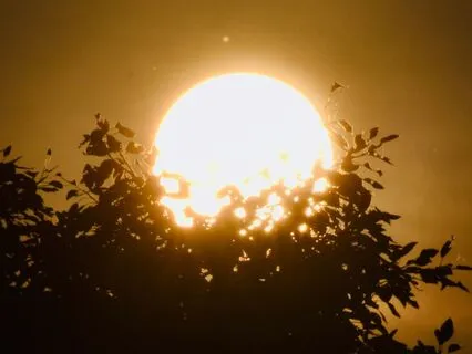 Virgo New Moon Solar Eclipse Ritual Meditation