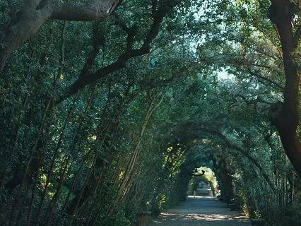 Virgo Season: Earthing & Walking Meditation