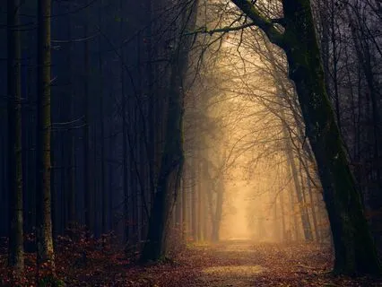 Virtual Reality Walk To Profoundly Transform The Way You Eat