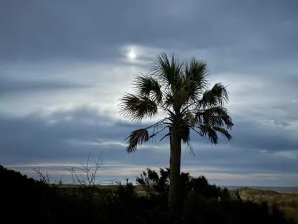 Virtual Vibes - Peace Of Mind In Unsettling Times