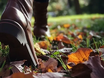 Experience A Walk In Presence