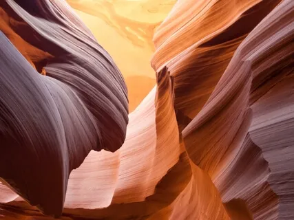 VirtueScape On Compassion