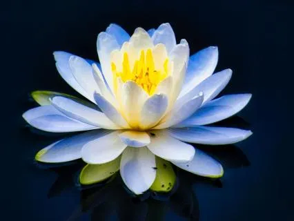 Vishuddha Chakra Yoga Nidra - Short Throat Chakra Meditation