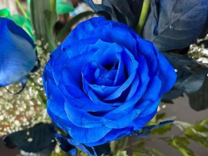 Vishuddha In North America | Gaia’s Element Of Purity