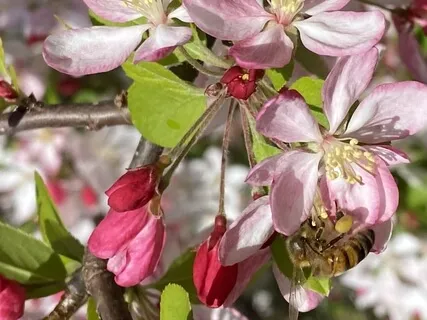 Vision A Perfect Place