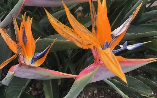 Vision Board Meditation