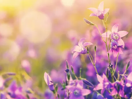 Vision Express - Beautifully Uplifting 