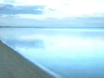 Vision Of Shore