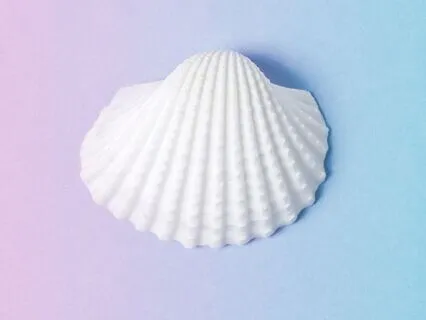 Vision Sleep Meditation With Mother Mary