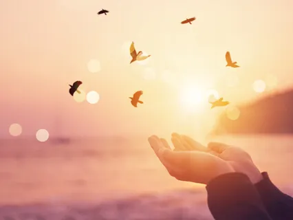 Visionary Meditation For Letting Go