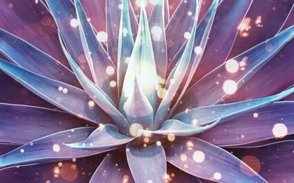 Visionary Vibrations: A (3Hz Delta) For Spiritual Connection