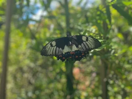 Visioning Practice For Clarity & Manifestation - No Music