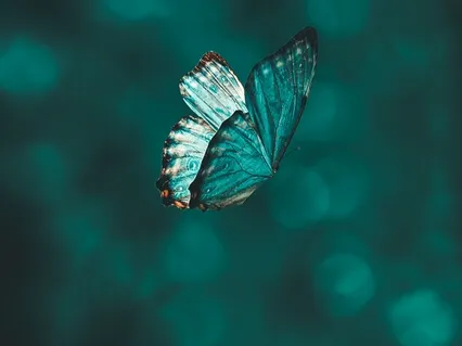 Visioning Practice For Clarity & Manifestation - With Music