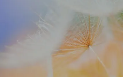 Visioning Your Life Meditation