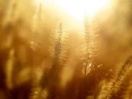 Visioning Your Wealthy Life