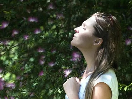 Visions Of Peace: A Meditation For Global Harmony