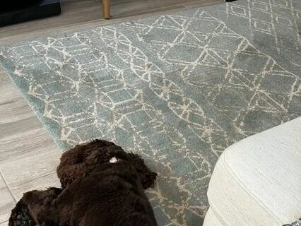 Spirits Of The Dead By Edgar Allen Poe